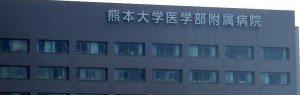 事例_熊大