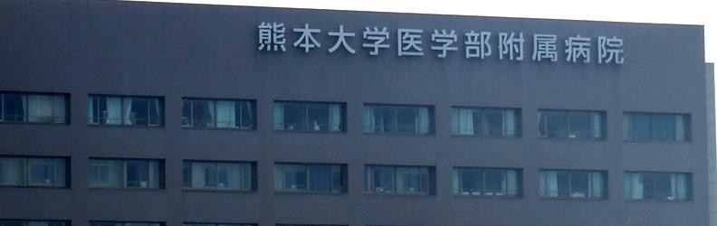 事例_熊大